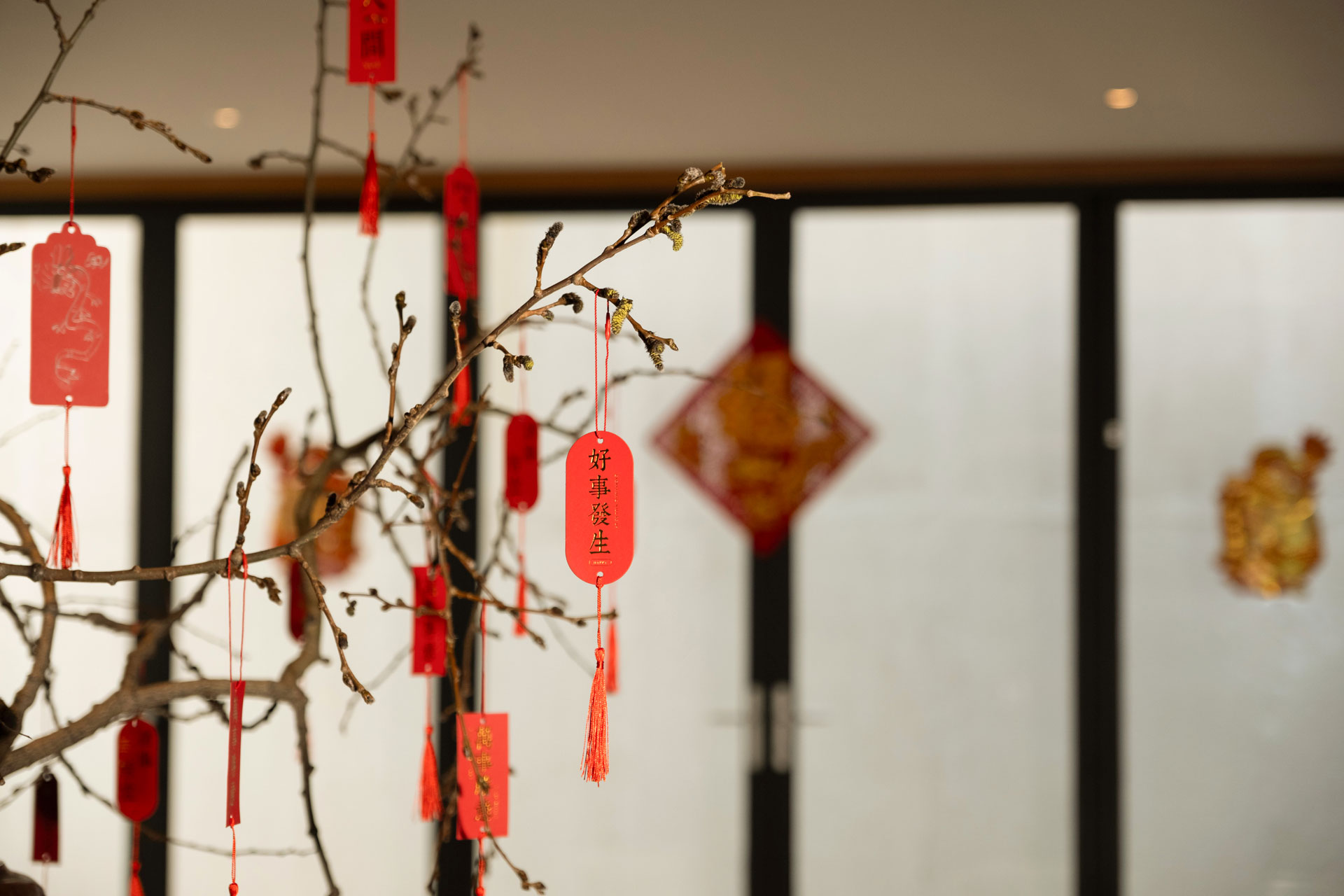 丽世新春定制体验，邀您一起开启 2024精彩甲辰龙年