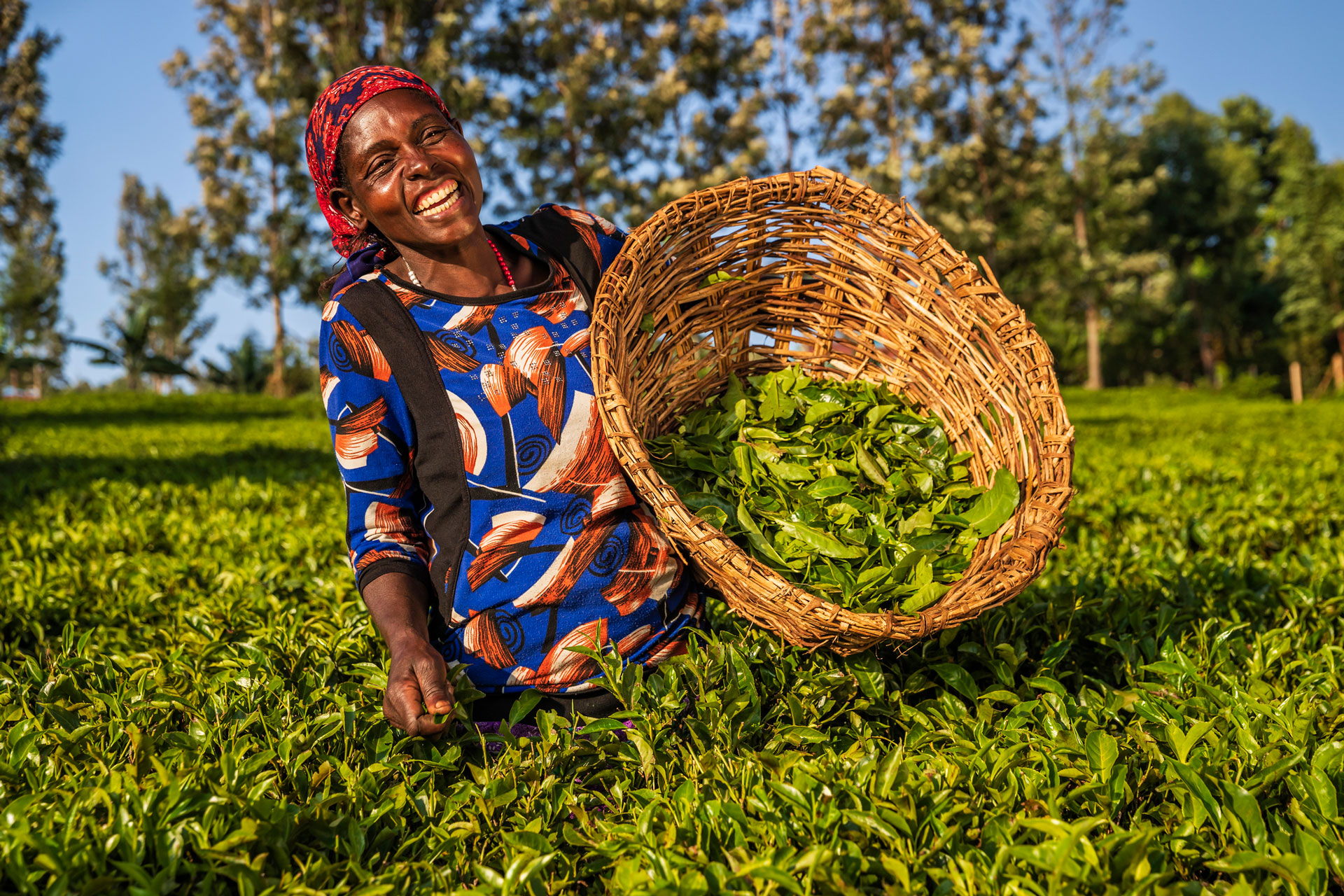 The Lux Collective celebrates the launch of LUX<bdi>*</bdi> Lake Kivu <bdi>&</bdi> SALT of Akagera in Rwanda